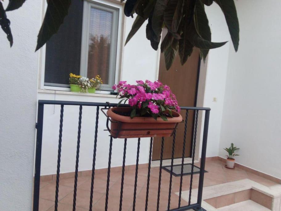 Casa Di Cristina Leilighet Fiumicino Eksteriør bilde