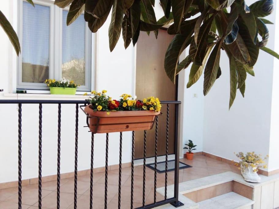 Casa Di Cristina Leilighet Fiumicino Eksteriør bilde
